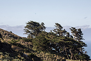 PtReyes_PH23_IMG_2913.jpg