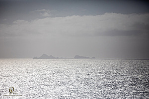 PtReyes_PH23_IMG_2952.jpg