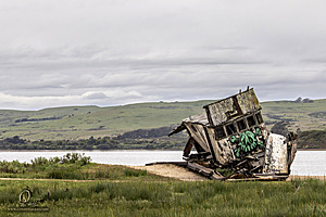PtReyes_PH24_IMG_3630-Enhanced-NR.jpg