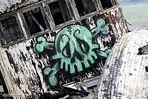 PtReyes_PH24_IMG_3647-Enhanced-NR.jpg