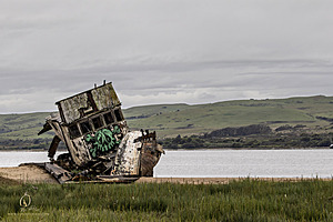 PtReyes_PH24_IMG_3654-Enhanced-NR.jpg