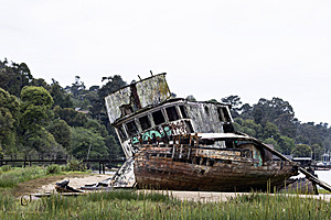 PtReyes_PH24_IMG_3665-Enhanced-NR.jpg