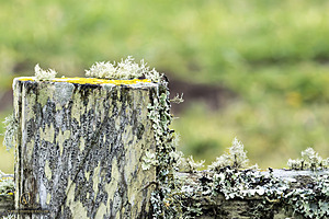 PtReyes_PH24_IMG_3756-Enhanced-NR.jpg