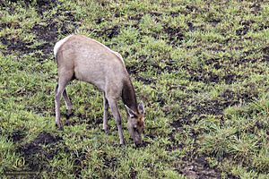 PtReyes_PH24_IMG_3792-Enhanced-NR.jpg
