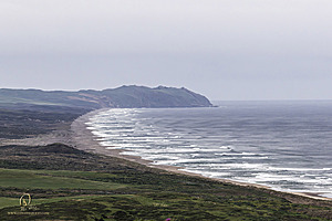 PtReyes_PH24_IMG_3797-Enhanced-NR.jpg