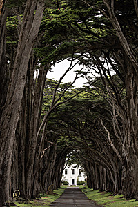 PtReyes_PH24_IMG_3867-Enhanced-NR.jpg