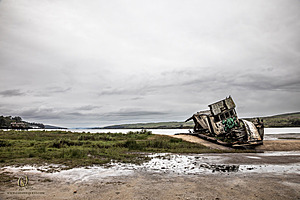 PtReyes_PH24_IMG_3914-Enhanced-NR.jpg