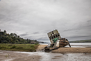PtReyes_PH24_IMG_3918-Enhanced-NR.jpg