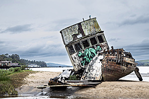 PtReyes_PH24_IMG_3920-Enhanced-NR.jpg
