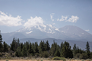 Filename=OR-Shasta_PH24_IMG_6384-Enhanced-NR.jpg
Filesize=304KiB
Dimensions=1200x800
Date added=Aug 11, 2024 OR-Shasta_PH24_IMG_6384-Enhanced-NR.jpg