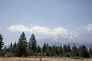 Filename=OR-Shasta_PH24_IMG_6393-Enhanced-NR.jpg
Filesize=283KiB
Dimensions=1200x800
Date added=Aug 11, 2024 OR-Shasta_PH24_IMG_6393-Enhanced-NR.jpg