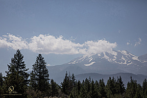 Filename=OR-Shasta_PH24_IMG_6403-Enhanced-NR.jpg
Filesize=256KiB
Dimensions=1200x800
Date added=Aug 11, 2024 OR-Shasta_PH24_IMG_6403-Enhanced-NR.jpg