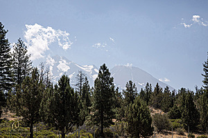 Filename=OR-Shasta_PH24_IMG_6408-Enhanced-NR.jpg
Filesize=394KiB
Dimensions=1200x800
Date added=Aug 11, 2024 OR-Shasta_PH24_IMG_6408-Enhanced-NR.jpg