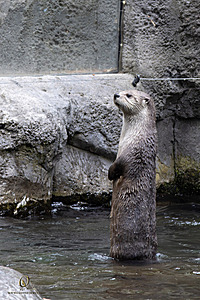 OR-HDM_PH24_IMG_8240-Enhanced-NR.jpg