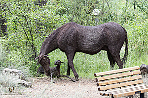 Filename=OR-HDM_PH24_IMG_8942-Enhanced-NR-2.jpg
Filesize=787KiB
Dimensions=1200x800
Date added=Aug 11, 2024 OR-HDM_PH24_IMG_8942-Enhanced-NR-2.jpg