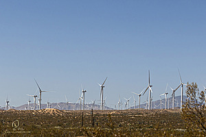 Filename=Mojave_PH24_IMG_6697-Enhanced-NR.jpg
Filesize=236KiB
Dimensions=1200x800
Date added=Nov 04, 2024 Mojave_PH24_IMG_6697-Enhanced-NR.jpg