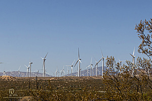 Filename=Mojave_PH24_IMG_6700-Enhanced-NR.jpg
Filesize=291KiB
Dimensions=1200x800
Date added=Nov 04, 2024 Mojave_PH24_IMG_6700-Enhanced-NR.jpg