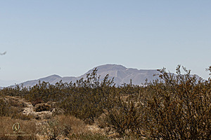 Filename=Mojave_PH24_IMG_6750-Enhanced-NR.jpg
Filesize=339KiB
Dimensions=1200x800
Date added=Nov 04, 2024 Mojave_PH24_IMG_6750-Enhanced-NR.jpg