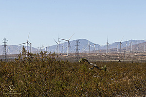 Filename=Mojave_PH24_IMG_6823-Enhanced-NR.jpg
Filesize=447KiB
Dimensions=1200x800
Date added=Nov 04, 2024 Mojave_PH24_IMG_6823-Enhanced-NR.jpg