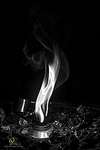 Filename=Vegas_PH24_IMG_7309-Enhanced-NR-bw.jpg
Filesize=161KiB
Dimensions=800x1200
Date added=Nov 05, 2024 Vegas_PH24_IMG_7309-Enhanced-NR-bw.jpg