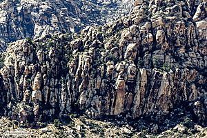 RedRock_PH24IMG_6957-Enhanced-NR.jpg