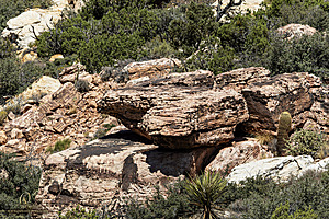 RedRock_PH24IMG_6965-Enhanced-NR.jpg