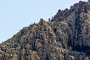 RedRock_PH24IMG_6970-Enhanced-NR.jpg