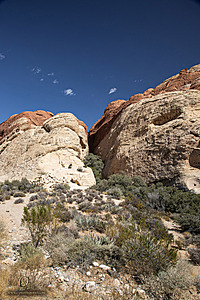 Filename=RedRock_PH24IMG_7514-Enhanced-NR.jpg
Filesize=569KiB
Dimensions=800x1200
Date added=Nov 06, 2024 RedRock_PH24IMG_7514-Enhanced-NR.jpg