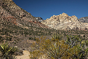 Filename=RedRock_PH24IMG_7636-Enhanced-NR.jpg
Filesize=754KiB
Dimensions=1200x800
Date added=Nov 06, 2024 RedRock_PH24IMG_7636-Enhanced-NR.jpg