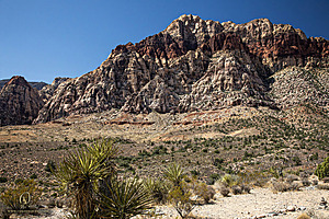 Filename=RedRock_PH24IMG_7643-Enhanced-NR.jpg
Filesize=694KiB
Dimensions=1200x800
Date added=Nov 06, 2024 RedRock_PH24IMG_7643-Enhanced-NR.jpg