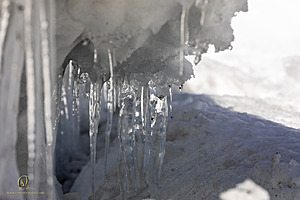Sierra_PH23_IMG_4530.jpg