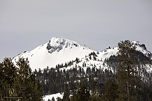 Sierra_PH23_IMG_4544.jpg