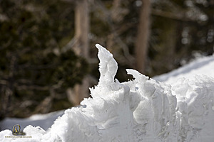 Sierra_PH23_IMG_4912.jpg