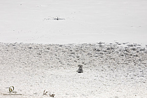 Sierra_PH23_IMG_4919.jpg