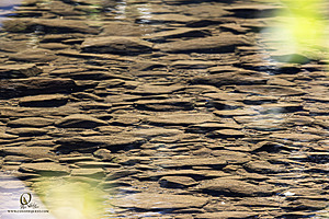Filename=Silvercreek_PH24_IMG_1143-Enhanced-NR.jpg
Filesize=457KiB
Dimensions=1200x800
Date added=Nov 23, 2024 Silvercreek_PH24_IMG_1143-Enhanced-NR.jpg