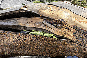 Filename=Silvercreek_PH24_IMG_1152-Enhanced-NR.jpg
Filesize=645KiB
Dimensions=1200x800
Date added=Nov 23, 2024 Silvercreek_PH24_IMG_1152-Enhanced-NR.jpg