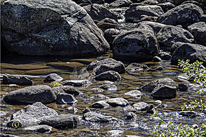 Filename=Silvercreek_PH24_IMG_1164-Enhanced-NR.jpg
Filesize=652KiB
Dimensions=1200x800
Date added=Nov 23, 2024 Silvercreek_PH24_IMG_1164-Enhanced-NR.jpg