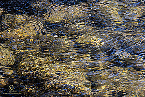 Filename=Silvercreek_PH24_IMG_1166-Enhanced-NR.jpg
Filesize=707KiB
Dimensions=1200x800
Date added=Nov 23, 2024 Silvercreek_PH24_IMG_1166-Enhanced-NR.jpg
