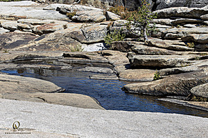 Filename=Silvercreek_PH24_IMG_1247-Enhanced-NR.jpg
Filesize=601KiB
Dimensions=1200x800
Date added=Nov 23, 2024 Silvercreek_PH24_IMG_1247-Enhanced-NR.jpg