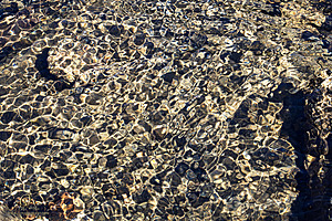 Filename=Silvercreek_PH24_IMG_1256-Enhanced-NR.jpg
Filesize=712KiB
Dimensions=1200x800
Date added=Nov 23, 2024 Silvercreek_PH24_IMG_1256-Enhanced-NR.jpg