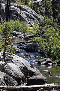 Filename=Silvercreek_PH24_IMG_1445-Enhanced-NR.jpg
Filesize=737KiB
Dimensions=800x1200
Date added=Nov 23, 2024 Silvercreek_PH24_IMG_1445-Enhanced-NR.jpg