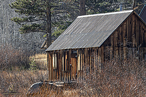 Hope_PH24_IMG_7610-Enhanced-NR.jpg
