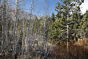 Hope_PH24_IMG_8074-Enhanced-NR.jpg