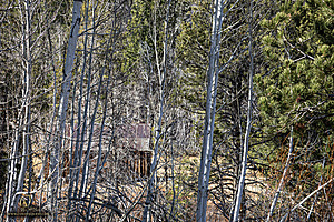 Hope_PH24_IMG_8076-Enhanced-NR.jpg