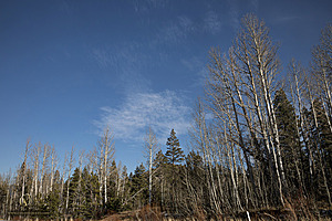 Hope_PH24_IMG_8077-Enhanced-NR.jpg