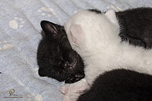 KBugs_PH23_IMG_0859.jpg