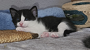 KBugs_PH23_20230704_152209.jpg