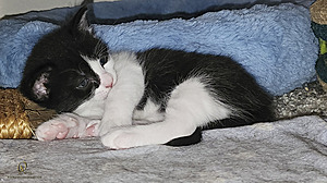 KBugs_PH23_20230704_152315.jpg