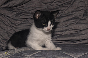 KBugs_PH23_3X8A0931-Enhanced-NR.jpg