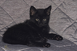 KBugs_PH23_3X8A0969-Enhanced-NR.jpg
